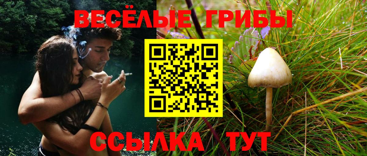 Галлюциногенные грибы GOLDEN TEACHER  Вход с VPN  Псилоцибиновые грибы ЛСД  Десногорск 